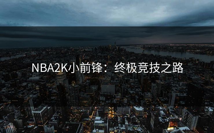 NBA2K小前锋：终极竞技之路