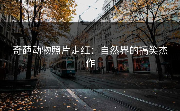 奇葩动物照片走红：自然界的搞笑杰作