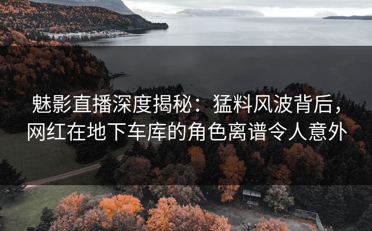 魅影直播深度揭秘:猛料风波背后,网红在地下车库的角色离谱令人意外