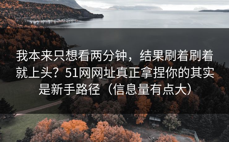 我本来只想看两分钟,结果刷着刷着就上头?51网网址真正拿捏你的其实是新手路径(信息量有点大) 我本来只想看两分钟,结果刷着刷着就上头?51网网址真正拿捏你的其实是新手路径(信息量有点大)